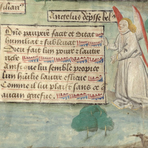 Z5 Ange bête à terre 