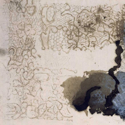 Empreinte de dentelle