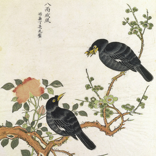 Deux oiseaux sur une branche, dont l'un tient un insecte dans le bec