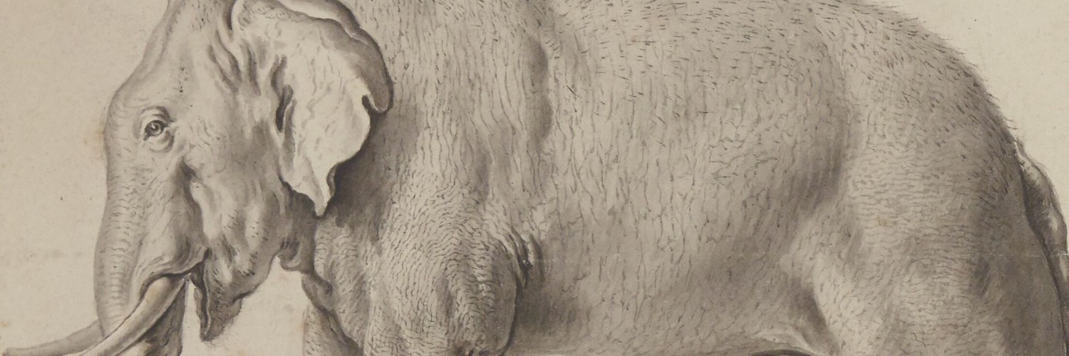 L'Éléphant blanc