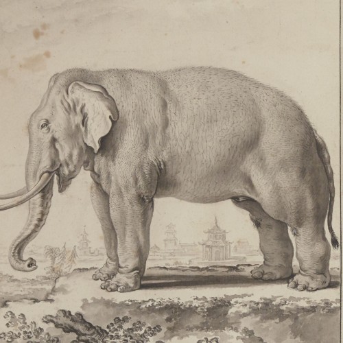 L'Éléphant blanc
