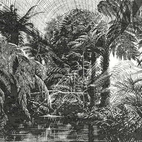 La nouvelle serre du Museum au Jardin des Plantes