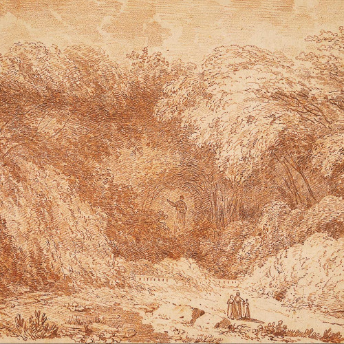 Paysage boisé