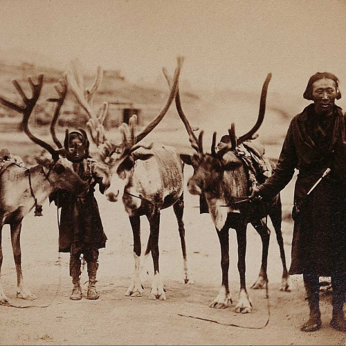 Un homme et un enfant toungouses avec des rennes dans le sud-est de la Russie