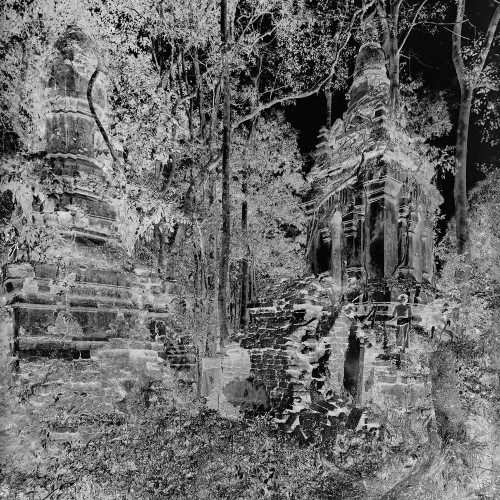 Temples en forêt