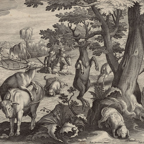 Chasse au cerf