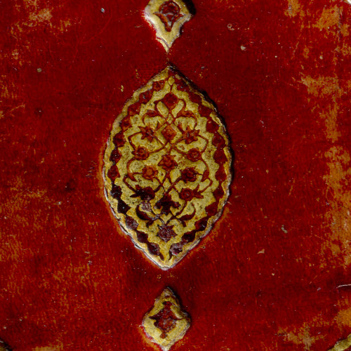 Originalité du décor végétal