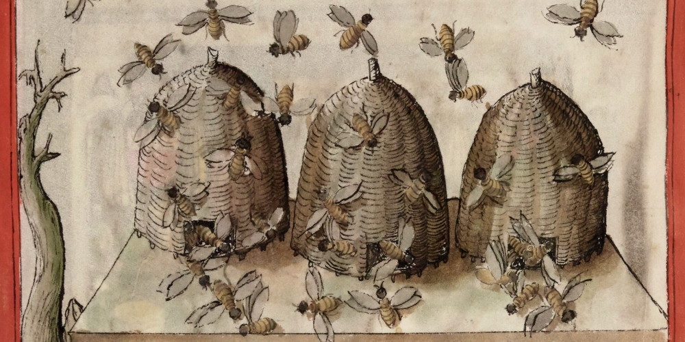 La ruche et les abeilles