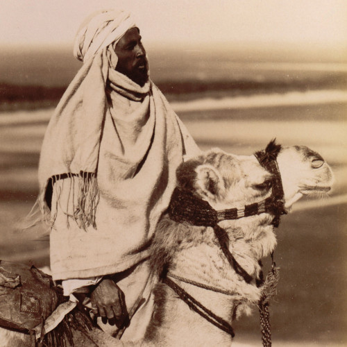 Un bédouin et son chameau