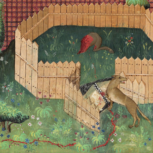Chasse au loup