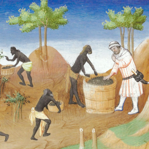 Le poivre