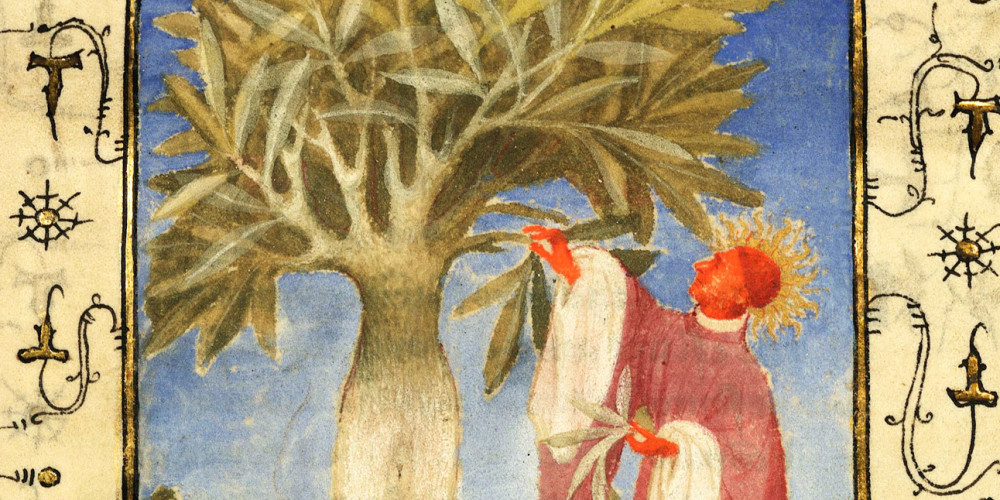 La femme arbre, un mythe antique