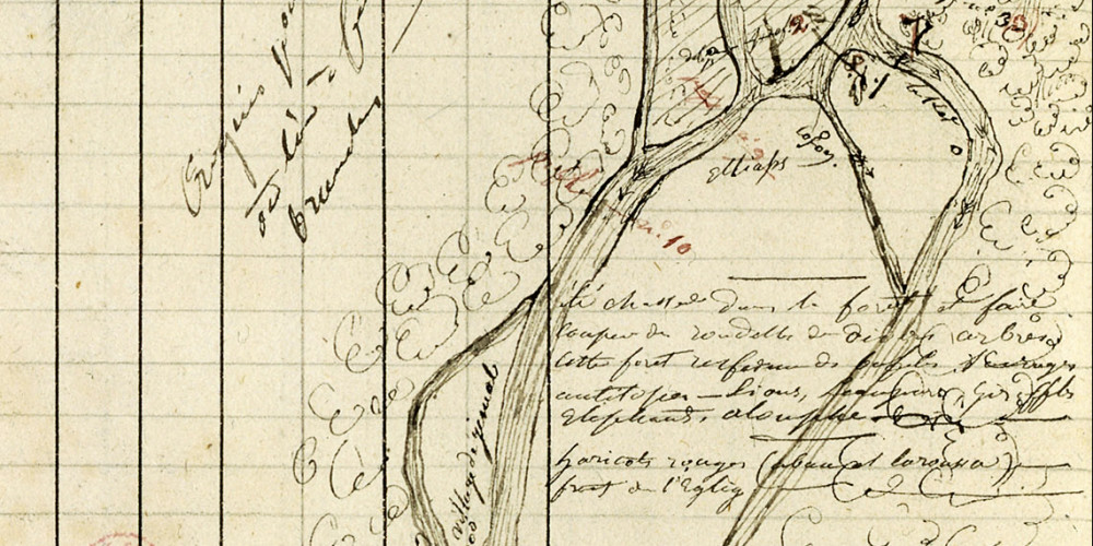 Page du journal de Joseph Pons d'Arnaud