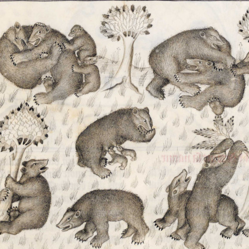 Les livres d'animaux au Moyen Âge