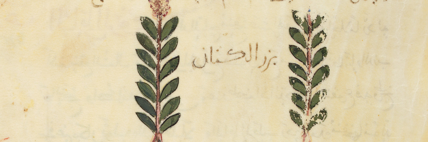 Botanique issue de manuscrits grecs