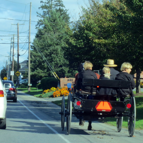 Une famille amish en calèche