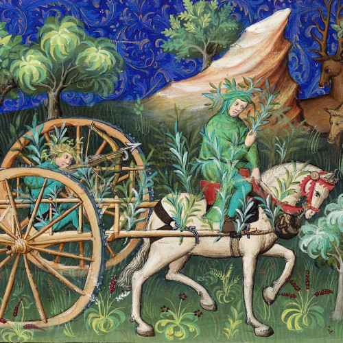 Chasse au cerf