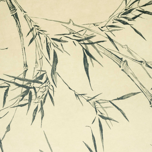 Bambous, motif de décor