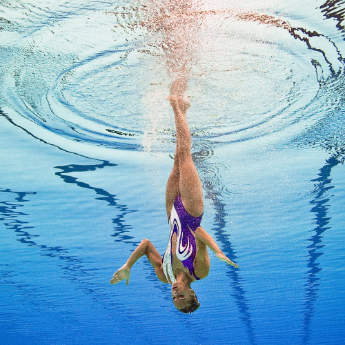 Championnats du monde de natation