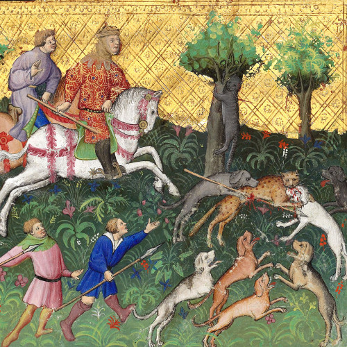 Chasse au chat sauvage