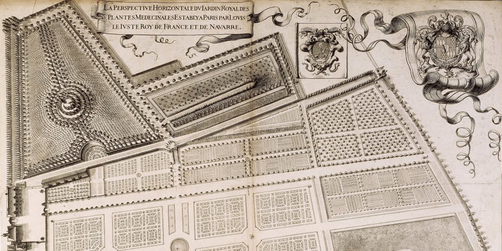 Plan du Jardin du roi