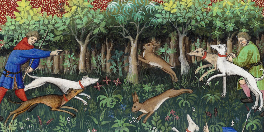 Chasse au lièvre