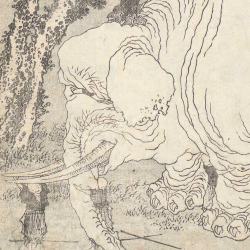 Éléphant avec un groupe d’aveugles