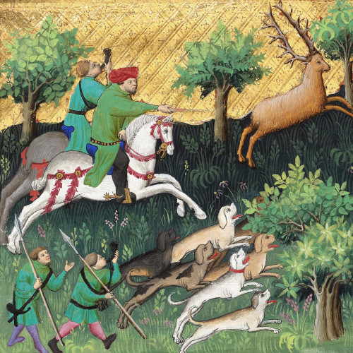 La chasse au renne