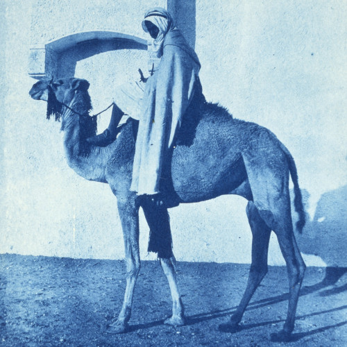 Cavalier du Makhzen d’El-Goléa