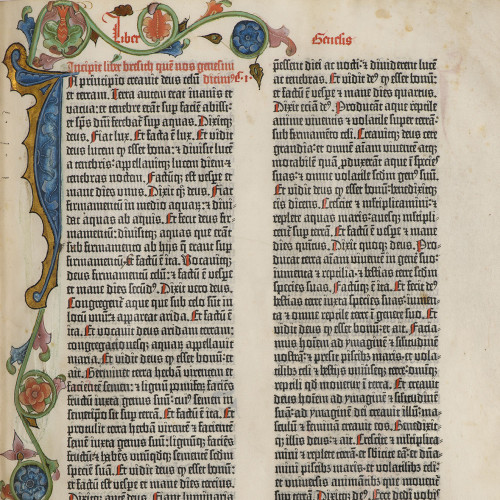 Bible de Gutenberg : encadrement enluminé