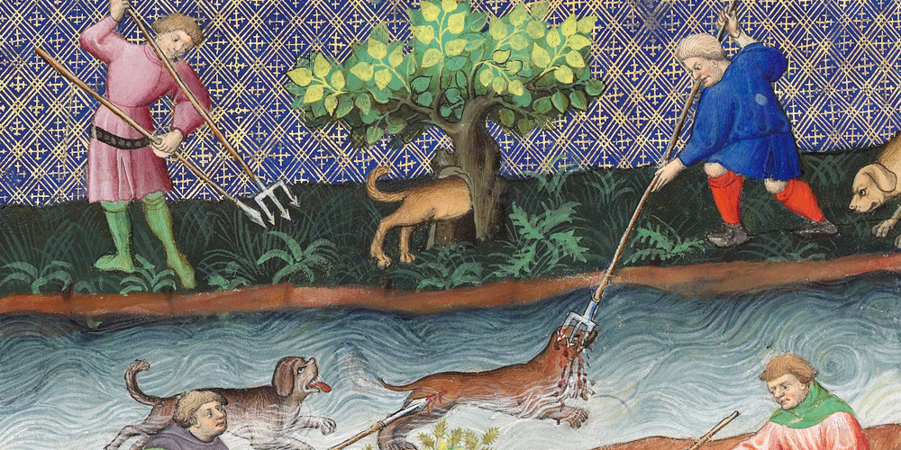 Chasse à la loutre