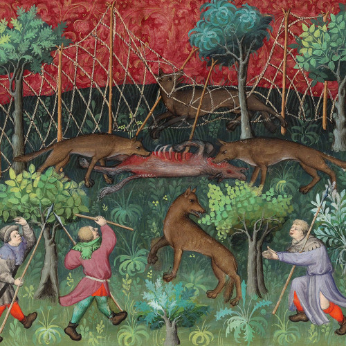 Chasse au loup