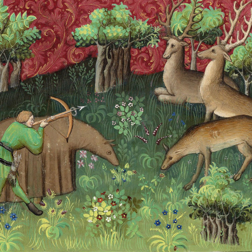 Chasse au cerf
