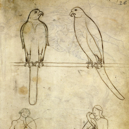 
Étude naturaliste et personnages
