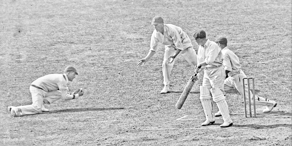 Cricket