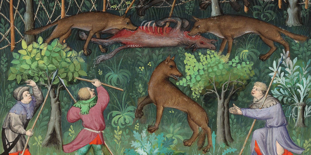 Chasse au loup