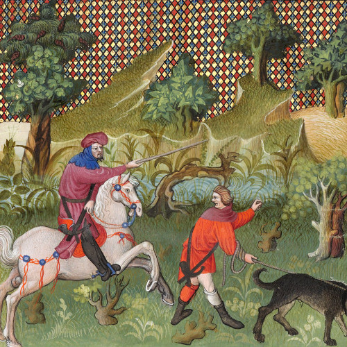 Chasse au cerf : flairée de la piste