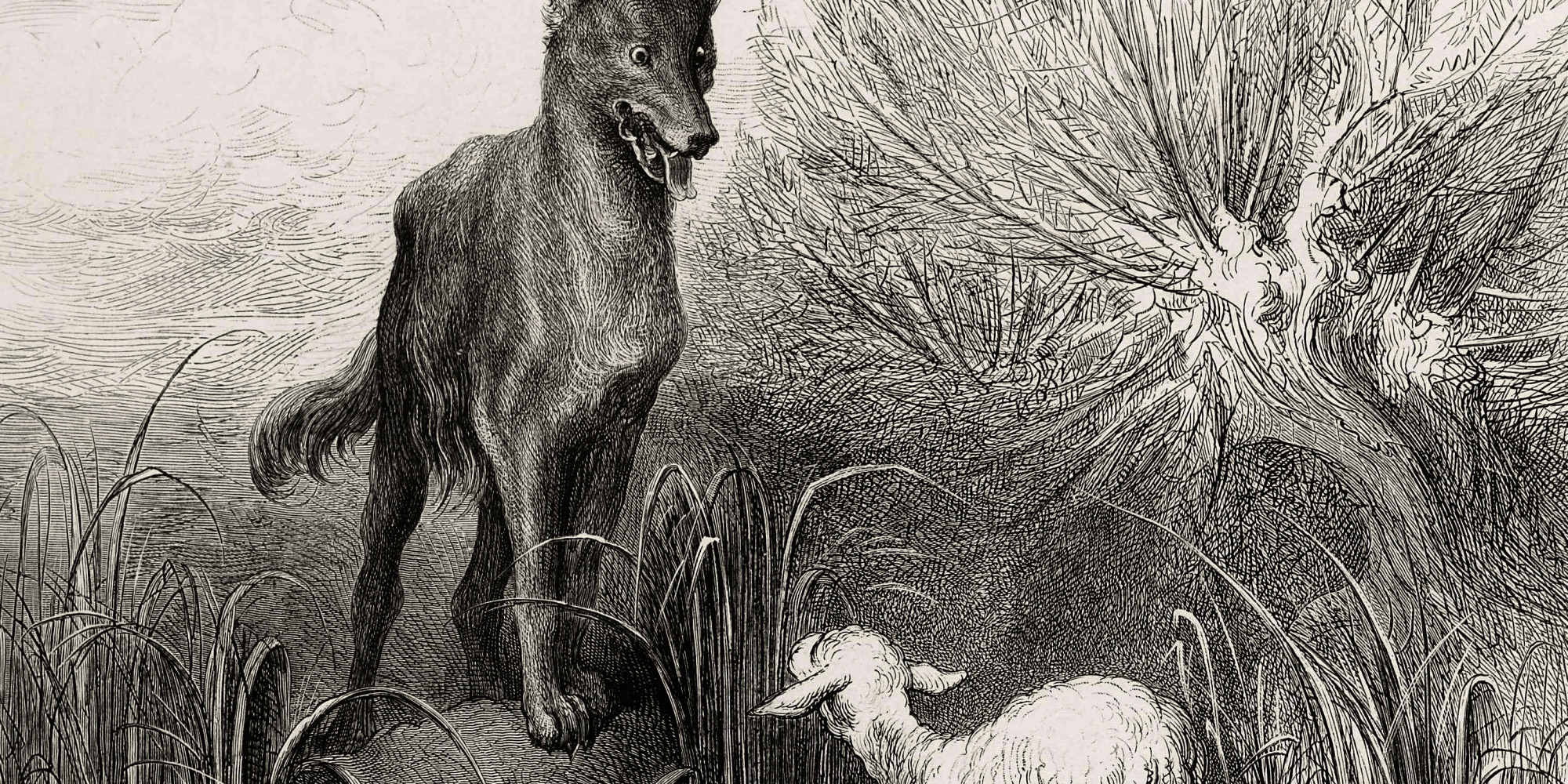 Le loup et l’agneau BnF Essentiels