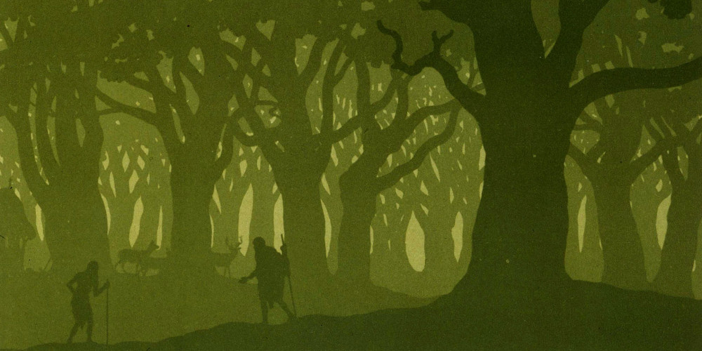 La forêt
