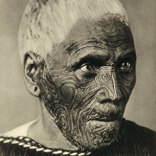 Homme Maori tatoué