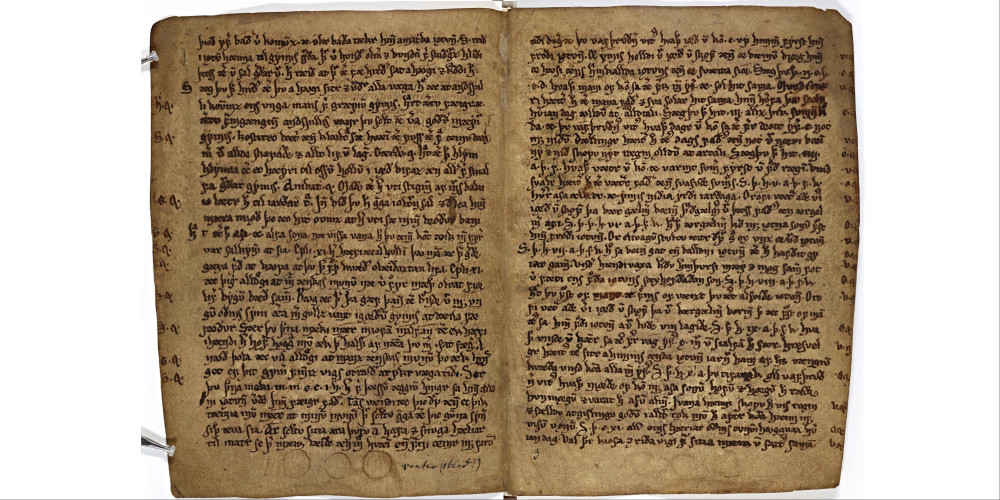 Manuscrit du Vafthrudnismál