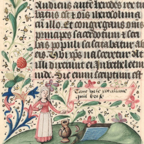 Chasse au lièvre