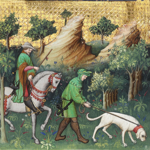 Repérage du cerf