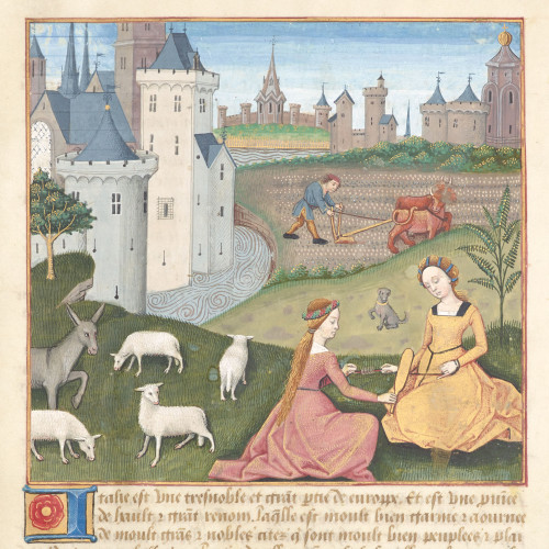 Le terroir et son château