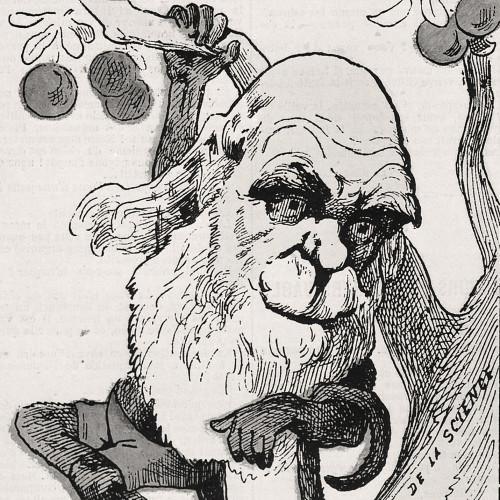 Caricature de Charles Darwin