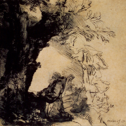 Saint François sous un arbre priant
1er état
 