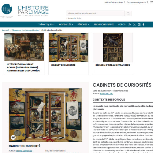 Vignette Histoire par l'image - cabinets de curiosités