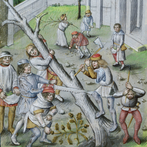 Les enfants au Moyen Âge : le ramassage du petit bois