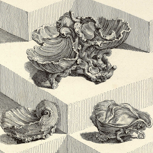 Salières en forme d’huîtres