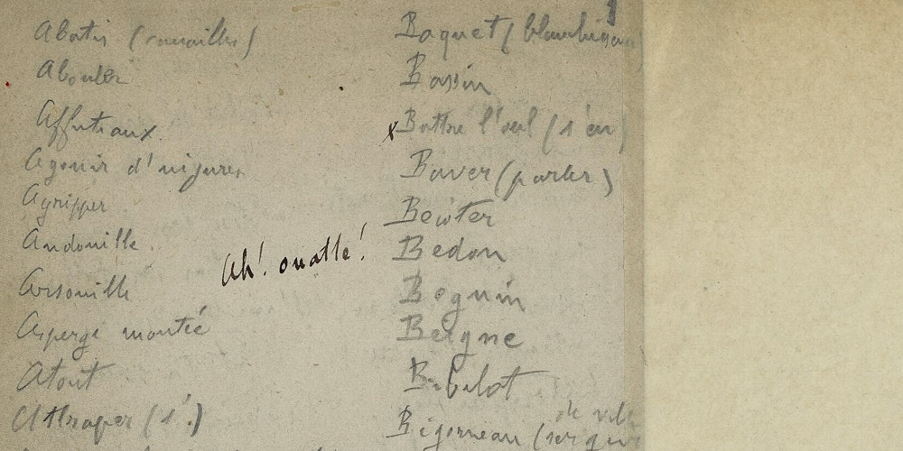 Émile Zola, L'Assommoir, notes sur l'argot
